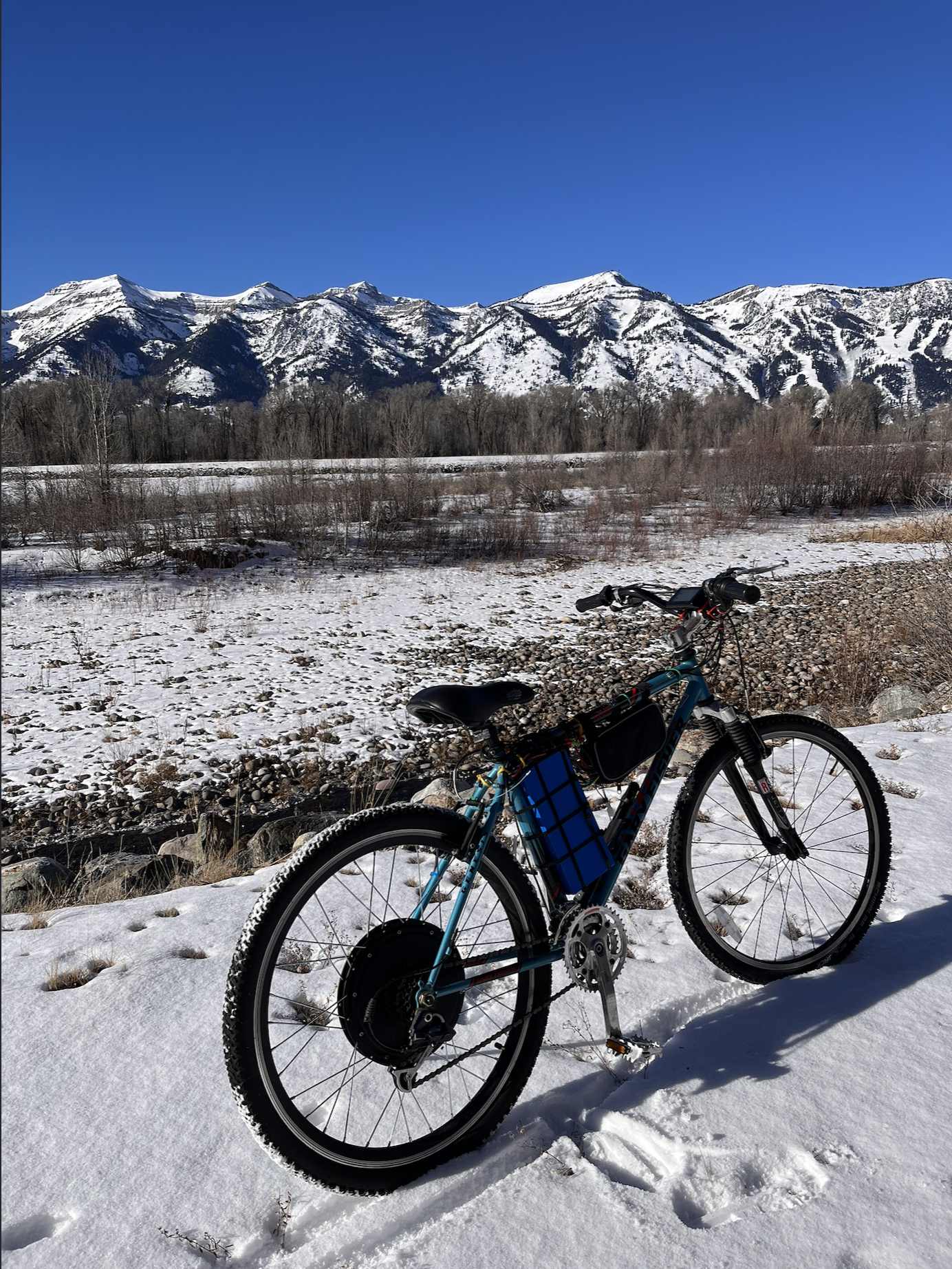 Electric bike build